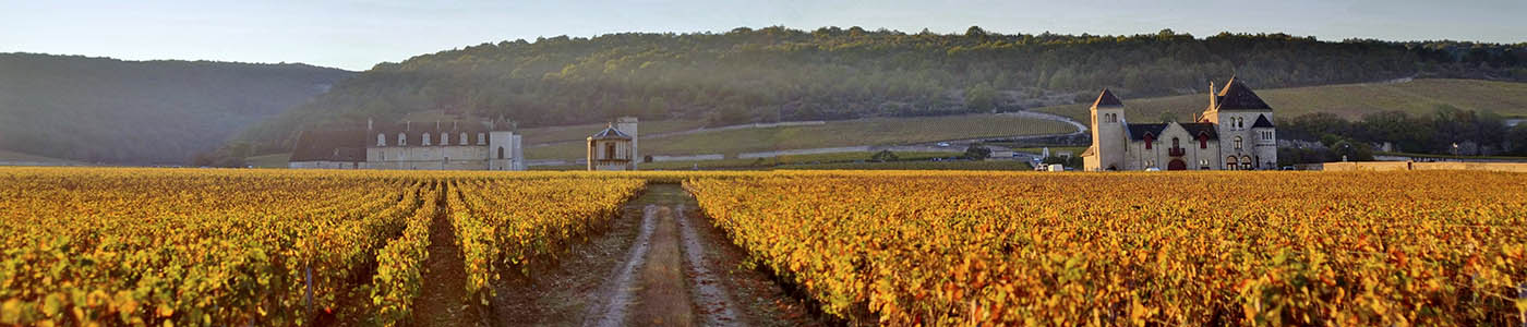 Classe Privilège Jacqueson Voyages